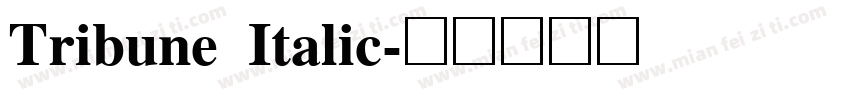 Tribune Italic字体转换
